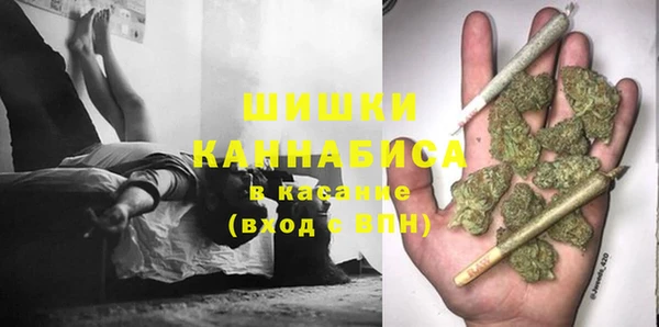 молекула духа Абинск