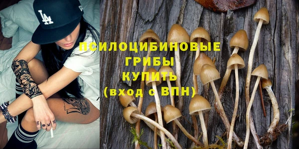 молекула духа Абинск