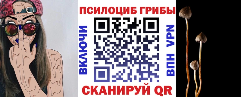 Галлюциногенные грибы MAGIC MUSHROOMS  Княгинино 